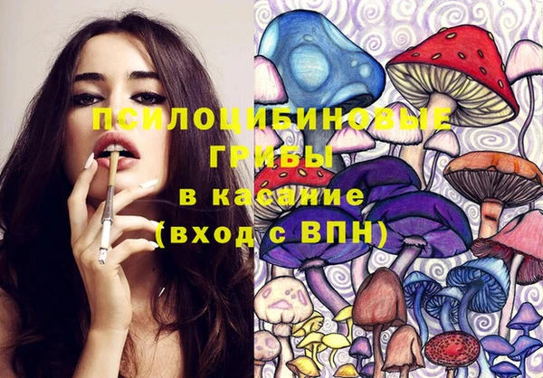не бодяженный Верея