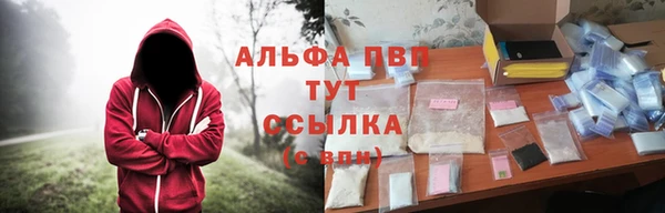 стаф Семикаракорск